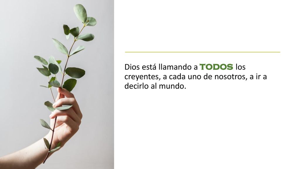 Dios está llamando a todos los creyentes, a cada uno de nosotros, a ir a decirlo al mundo.