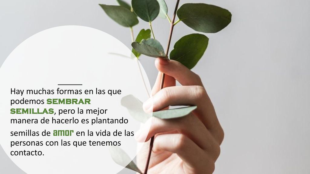 Hay muchas formas en las que podemos sembrar semillas, pero la mejor manera de hacerlo es plantando semillas de amor en la vida de las personas con las que tenemos contacto.
