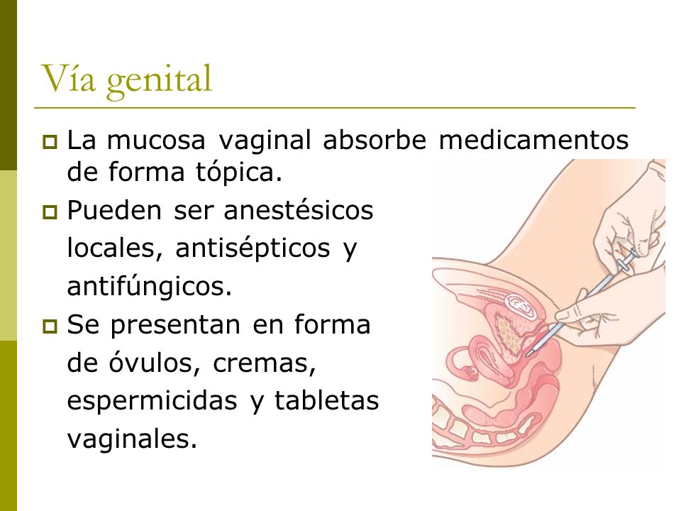 Vía genital La mucosa vaginal absorbe medicamentos de forma tópica.