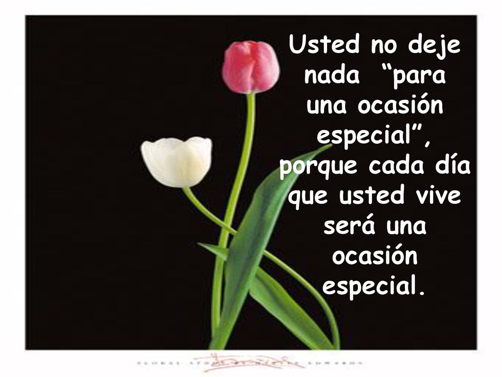 Usted no deje nada para una ocasión especial , porque cada día que usted vive será una ocasión especial.