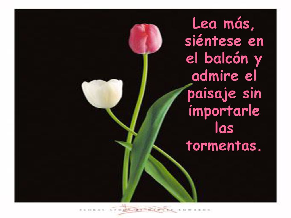 Lea más, siéntese en el balcón y admire el paisaje sin importarle las tormentas.