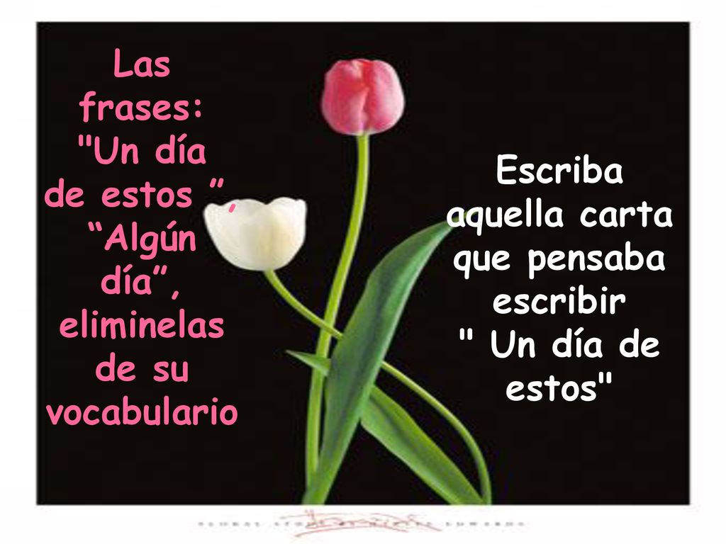 Escriba aquella carta que pensaba escribir Un día de estos