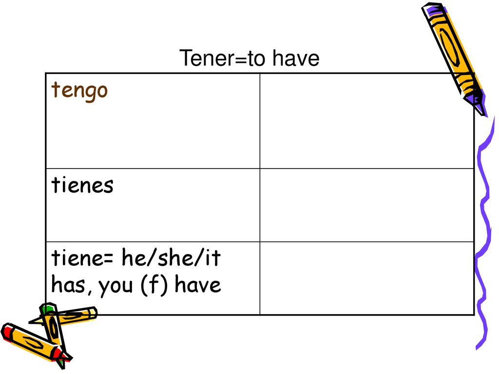 Tener=to have tengo tienes tiene= he/she/it has, you (f) have