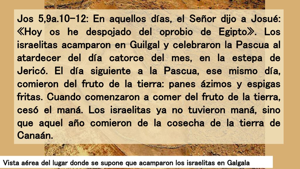Jos 5,9a.10-12: En aquellos días, el Señor dijo a Josué: «Hoy os he despojado del oprobio de Egipto». Los israelitas acamparon en Guilgal y celebraron la Pascua al atardecer del día catorce del mes, en la estepa de Jericó. El día siguiente a la Pascua, ese mismo día, comieron del fruto de la tierra: panes ázimos y espigas fritas. Cuando comenzaron a comer del fruto de la tierra, cesó el maná. Los israelitas ya no tuvieron maná, sino que aquel año comieron de la cosecha de la tierra de Canaán.