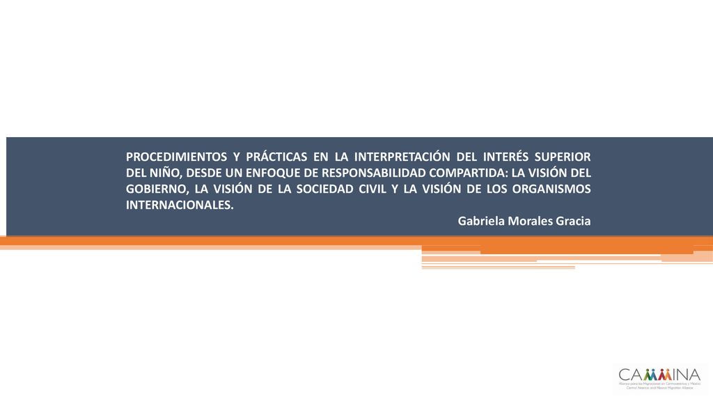 PROCEDIMIENTOS Y PRÁCTICAS EN LA INTERPRETACIÓN DEL INTERÉS SUPERIOR DEL NIÑO, DESDE UN ENFOQUE DE RESPONSABILIDAD COMPARTIDA: LA VISIÓN DEL GOBIERNO, LA VISIÓN DE LA SOCIEDAD CIVIL Y LA VISIÓN DE LOS ORGANISMOS INTERNACIONALES.