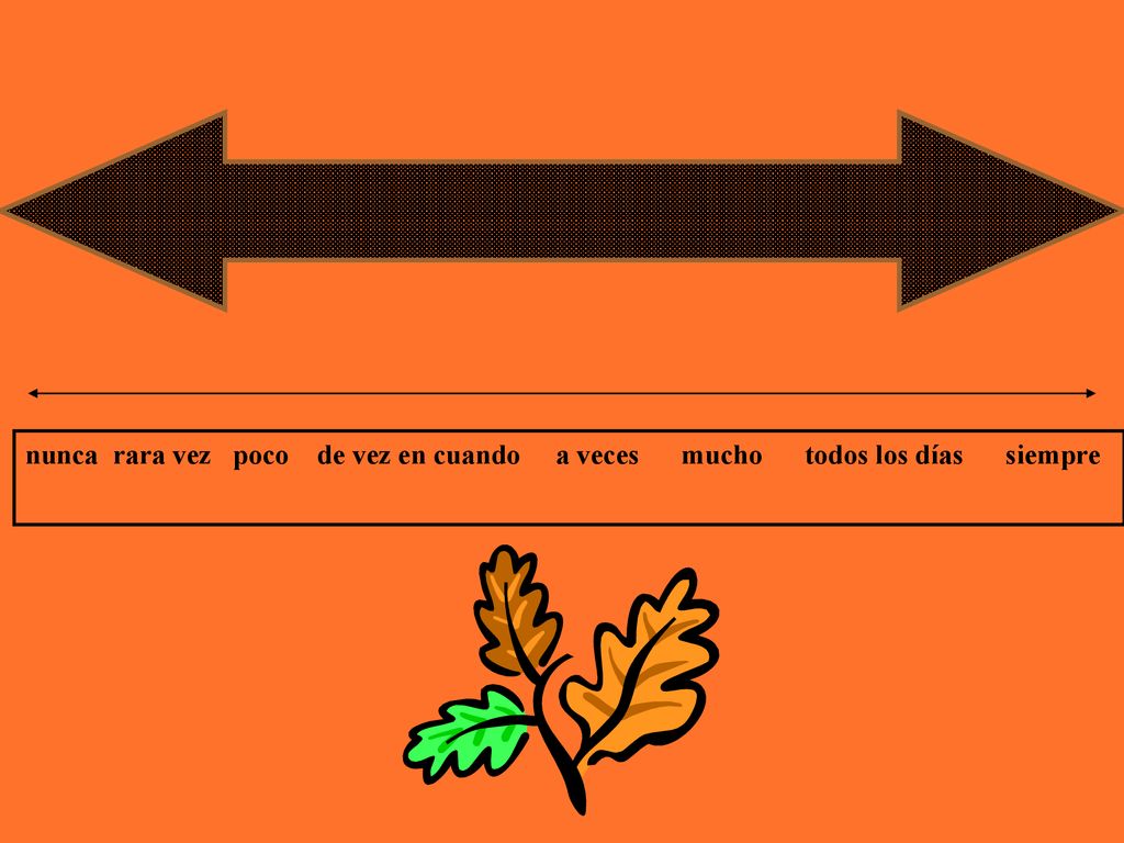 nunca rara vez poco de vez en cuando a veces mucho todos los días siempre