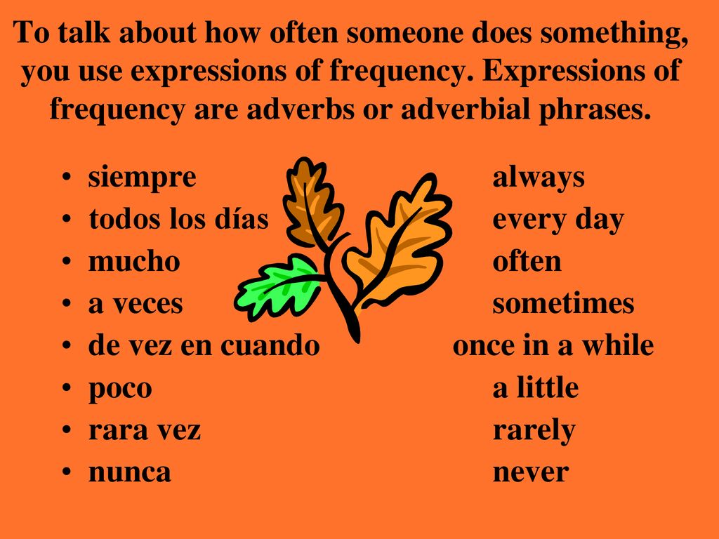 To talk about how often someone does something, you use expressions of frequency. Expressions of frequency are adverbs or adverbial phrases.