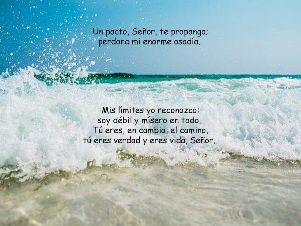 Un pacto, Señor, te propongo; perdona mi enorme osadía.