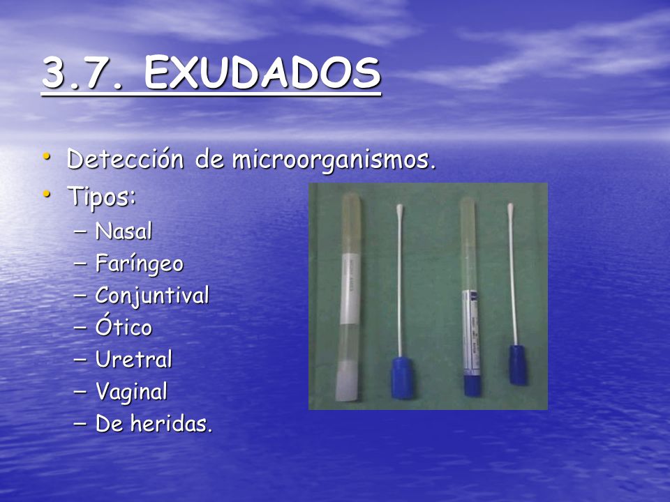 3.7. EXUDADOS Detección de microorganismos. Tipos: Nasal Faríngeo