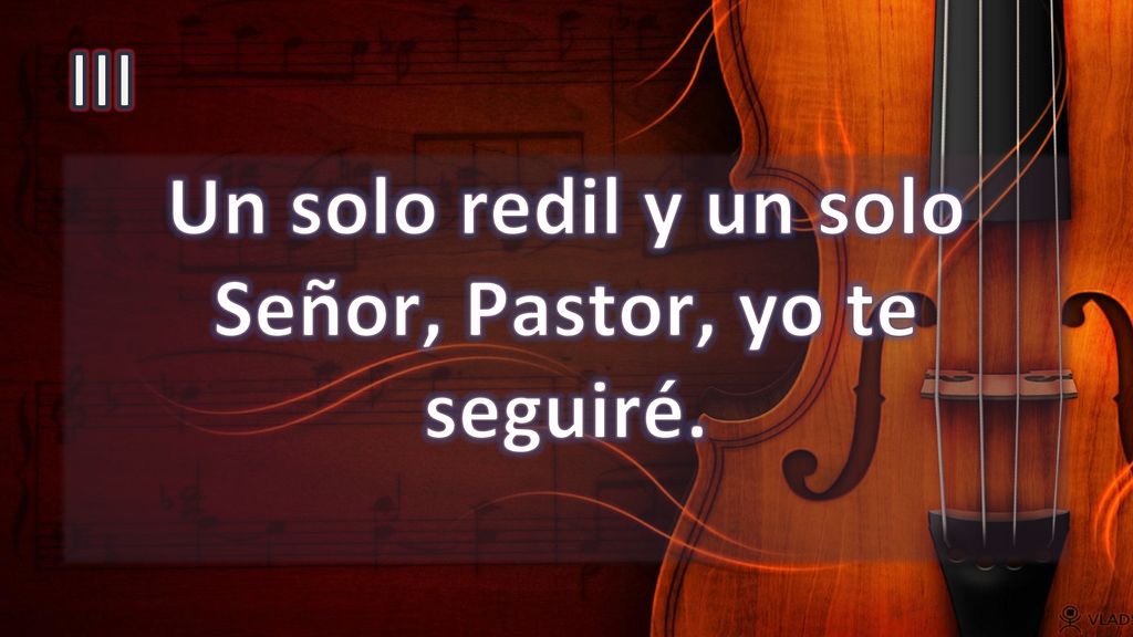 Un solo redil y un solo Señor, Pastor, yo te seguiré.