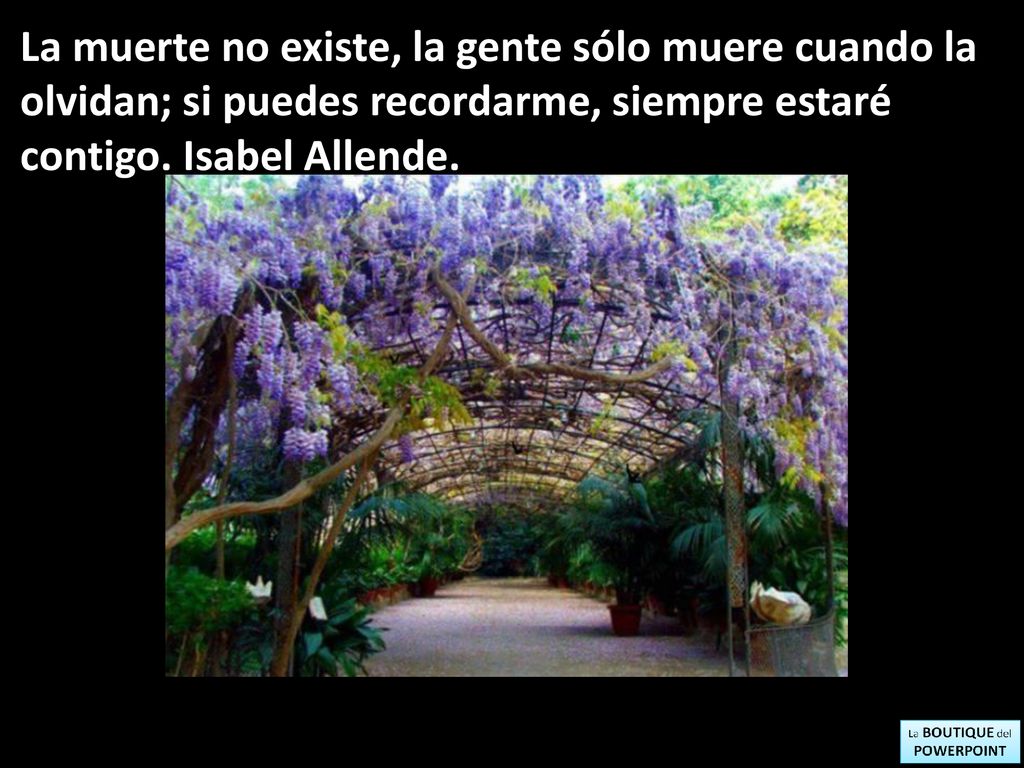 La muerte no existe, la gente sólo muere cuando la olvidan; si puedes recordarme, siempre estaré contigo.