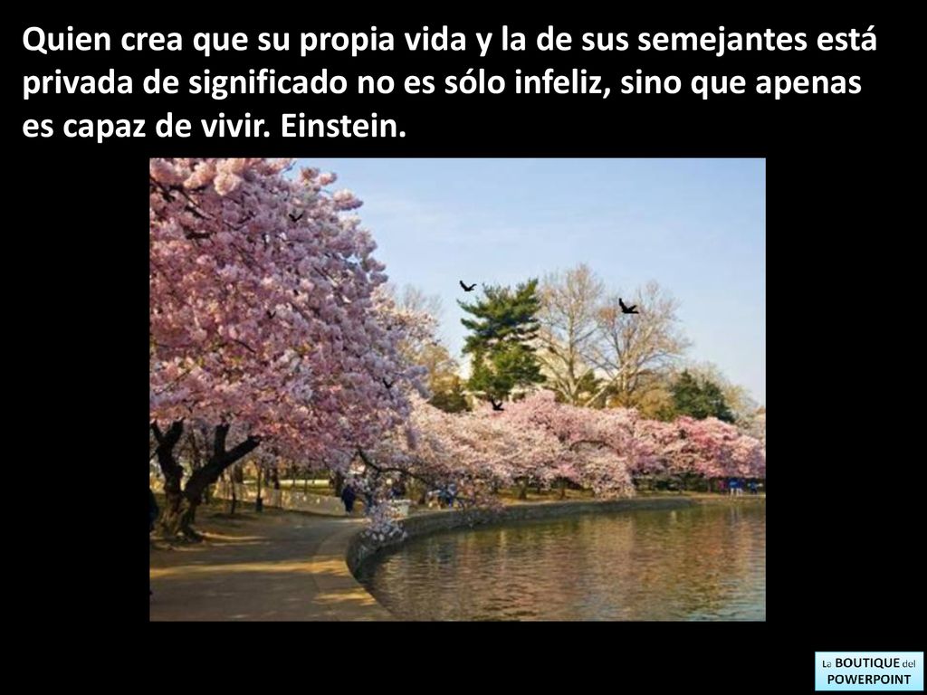 Quien crea que su propia vida y la de sus semejantes está privada de significado no es sólo infeliz, sino que apenas es capaz de vivir.