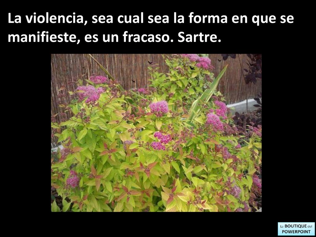 La violencia, sea cual sea la forma en que se manifieste, es un fracaso. Sartre.