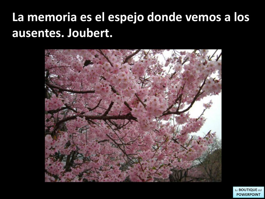La memoria es el espejo donde vemos a los ausentes. Joubert.