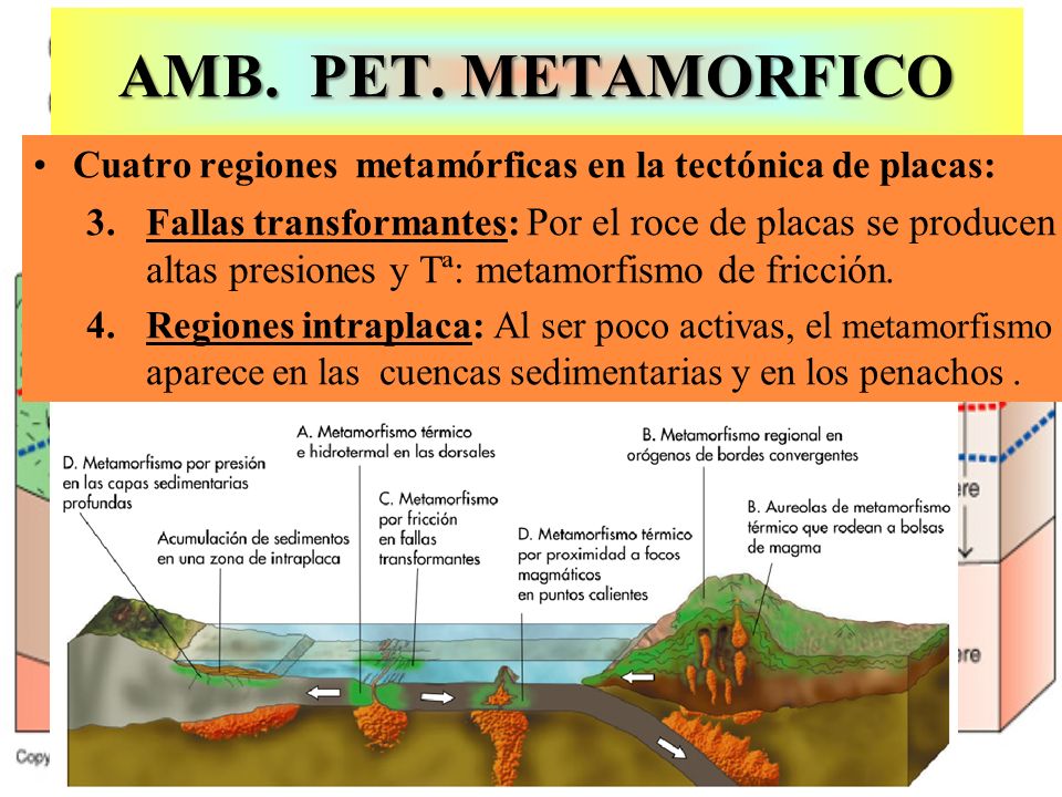 AMB. PET. METAMORFICO Cuatro regiones metamórficas en la tectónica de placas: