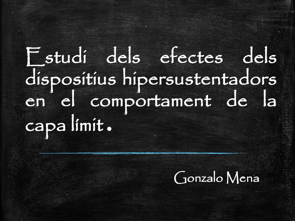 Estudi dels efectes dels dispositius hipersustentadors en el comportament de la capa límit.