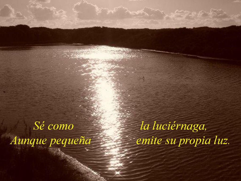 Sé como la luciérnaga, Aunque pequeña emite su propia luz.