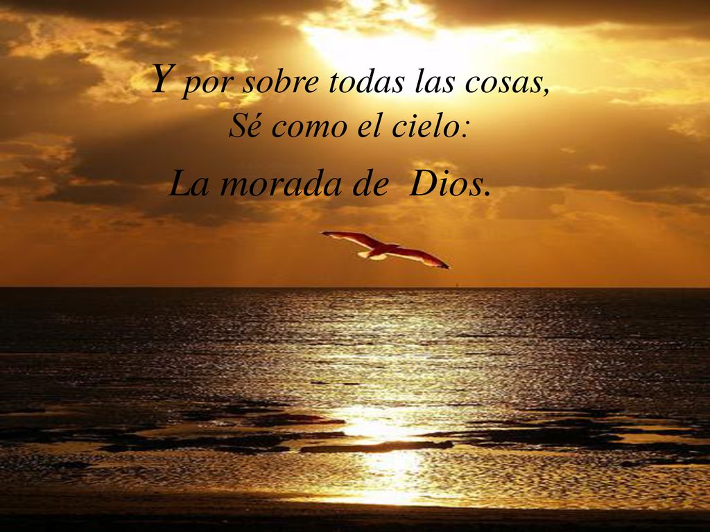 Y por sobre todas las cosas, Sé como el cielo: