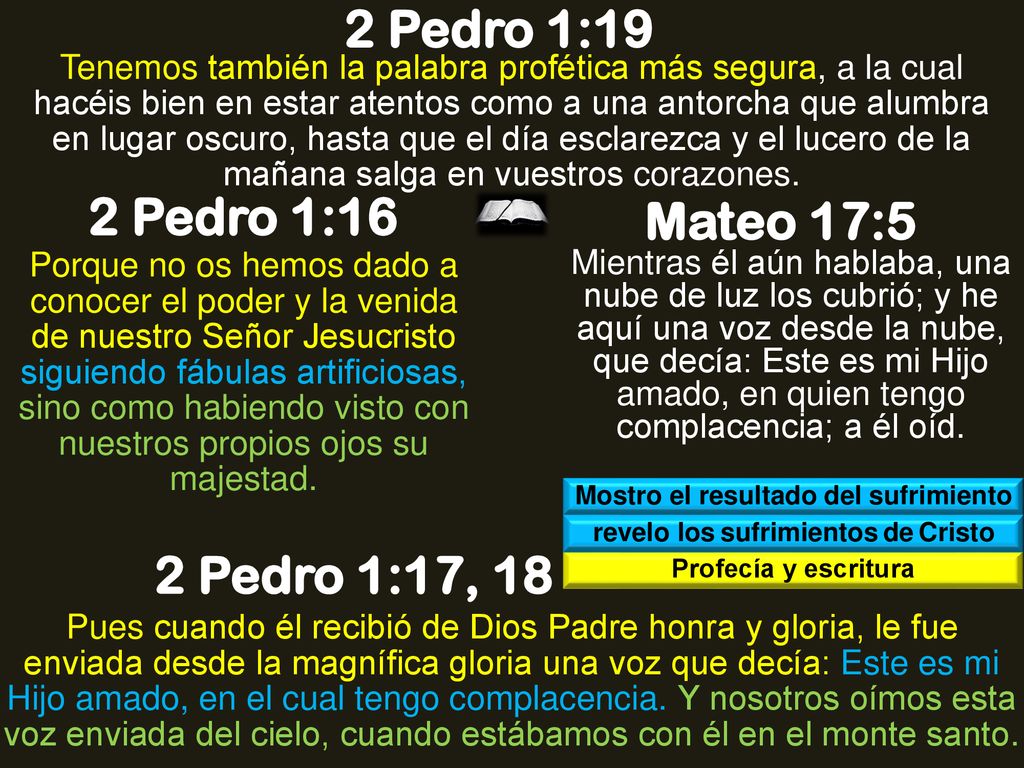 Mostro el resultado del sufrimiento revelo los sufrimientos de Cristo