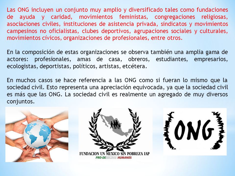 Las ONG incluyen un conjunto muy amplio y diversificado tales como fundaciones de ayuda y caridad, movimientos feministas, congregaciones religiosas, asociaciones civiles, instituciones de asistencia privada, sindicatos y movimientos campesinos no oficialistas, clubes deportivos, agrupaciones sociales y culturales, movimientos cívicos, organizaciones de profesionales, entre otros.