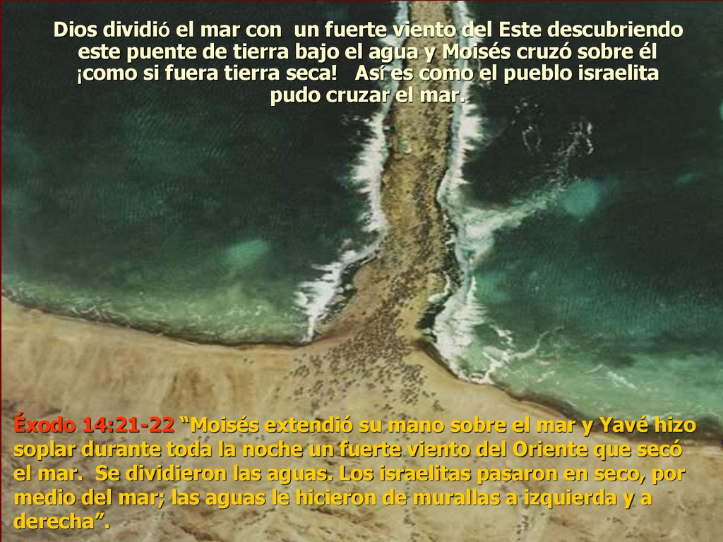 Dios dividió el mar con un fuerte viento del Este descubriendo este puente de tierra bajo el agua y Moisés cruzó sobre él ¡como si fuera tierra seca! Así es como el pueblo israelita pudo cruzar el mar.