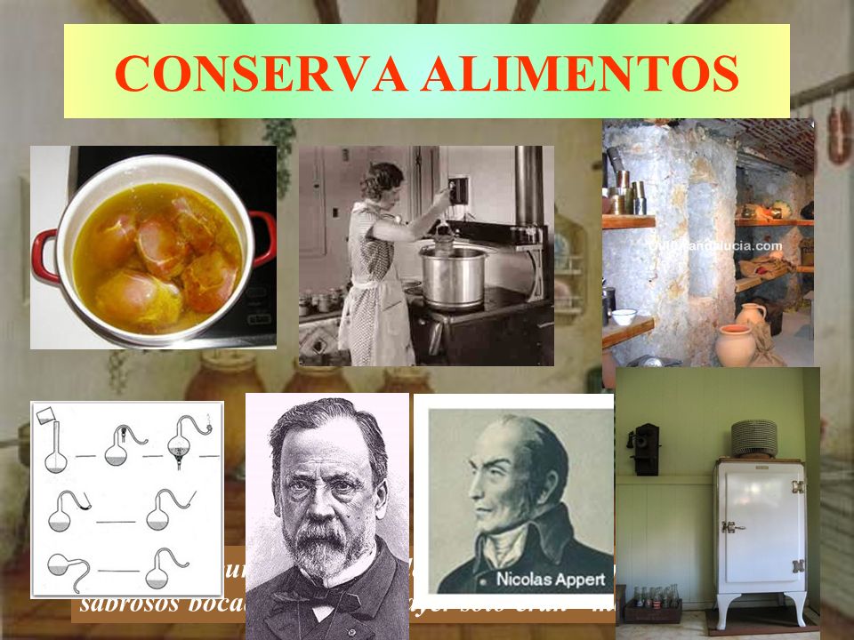 CONSERVA ALIMENTOS Fresca y oscura, y con un olor que alimenta, nos muestra sabrosos bocados de lo que ayer sólo eran marranos .