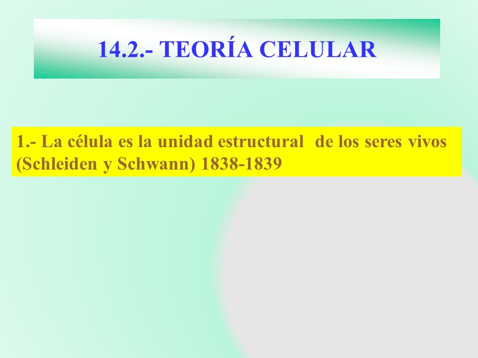 TEORÍA CELULAR 1.- La célula es la unidad estructural de los seres vivos (Schleiden y Schwann)