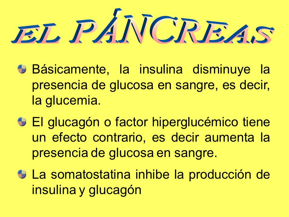 EL PÁNCREAS Básicamente, la insulina disminuye la presencia de glucosa en sangre, es decir, la glucemia.
