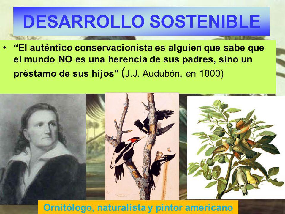 DESARROLLO SOSTENIBLE