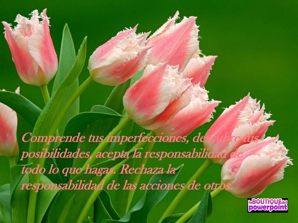 Comprende tus imperfecciones, descubre tus posibilidades, acepta la responsabilidad de todo lo que hagas.