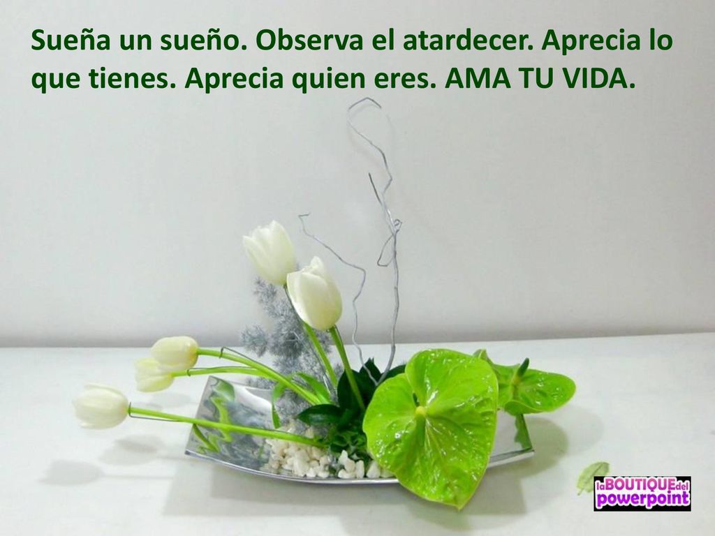 Sueña un sueño. Observa el atardecer. Aprecia lo que tienes