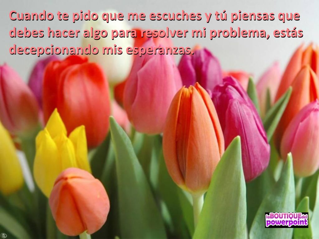 Cuando te pido que me escuches y tú piensas que debes hacer algo para resolver mi problema, estás decepcionando mis esperanzas.