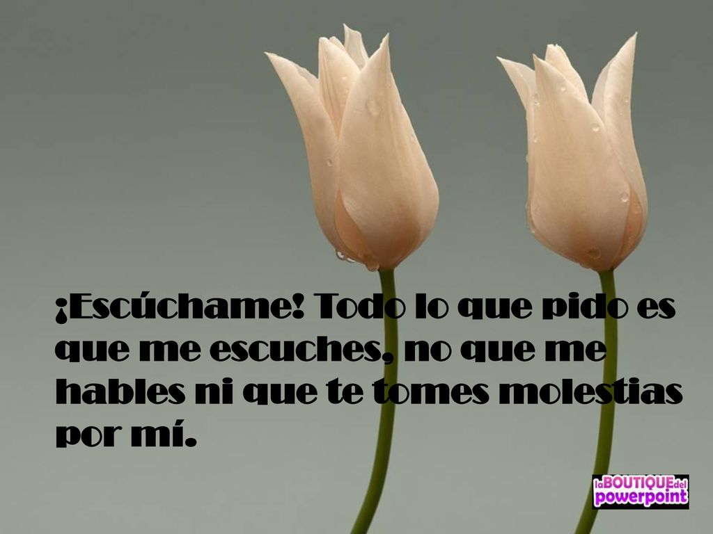¡Escúchame! Todo lo que pido es que me escuches, no que me hables ni que te tomes molestias por mí.