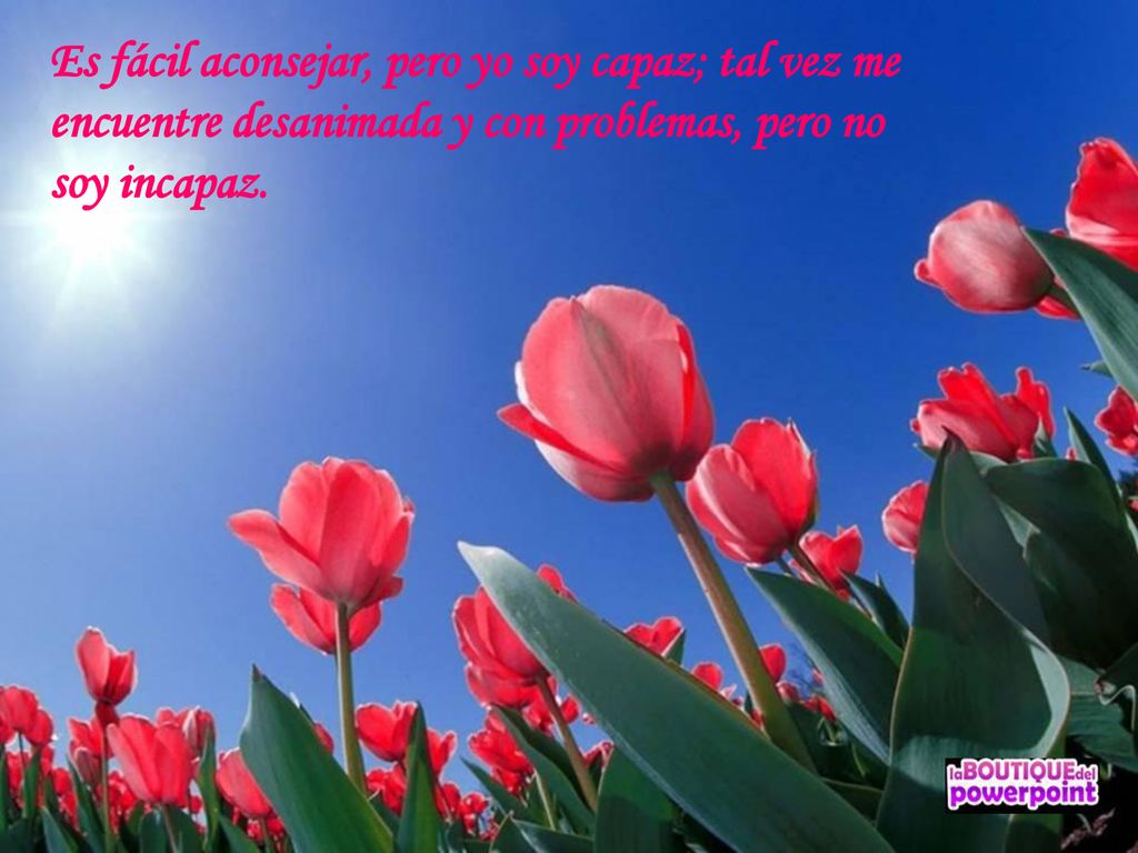 Es fácil aconsejar, pero yo soy capaz; tal vez me encuentre desanimada y con problemas, pero no soy incapaz.