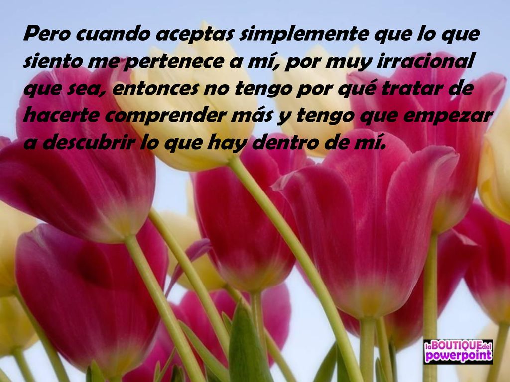 Pero cuando aceptas simplemente que lo que siento me pertenece a mí, por muy irracional que sea, entonces no tengo por qué tratar de hacerte comprender más y tengo que empezar a descubrir lo que hay dentro de mí.