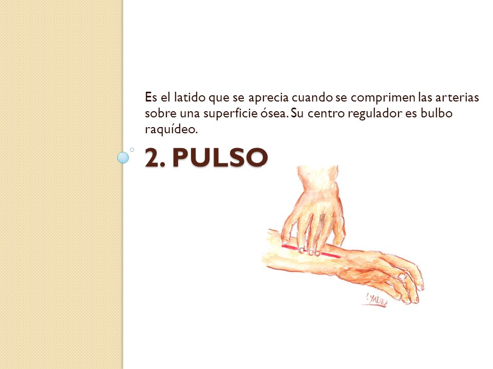 Es el latido que se aprecia cuando se comprimen las arterias sobre una superficie ósea. Su centro regulador es bulbo raquídeo.