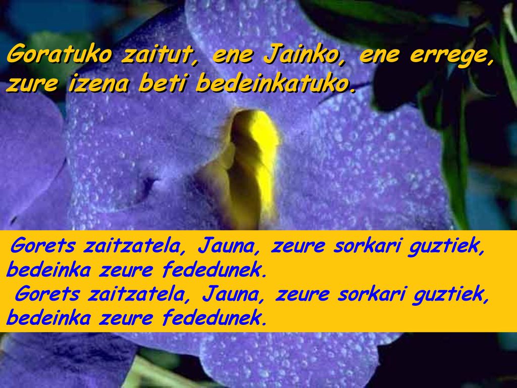 Goratuko zaitut, ene Jainko, ene errege, zure izena beti bedeinkatuko.