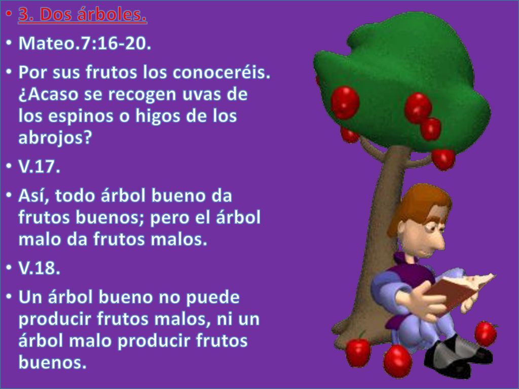 3. Dos árboles. Mateo.7: Por sus frutos los conoceréis. ¿Acaso se recogen uvas de los espinos o higos de los abrojos