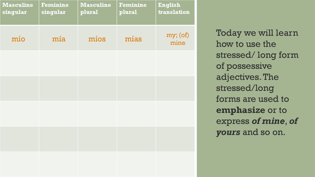Masculine singular Feminine singular. Masculine plural. Feminine plural. English translation.