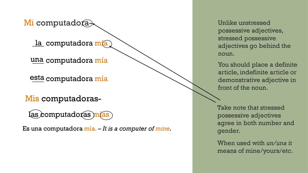 Mi computadora- Mis computadoras- ___ computadora mía la una