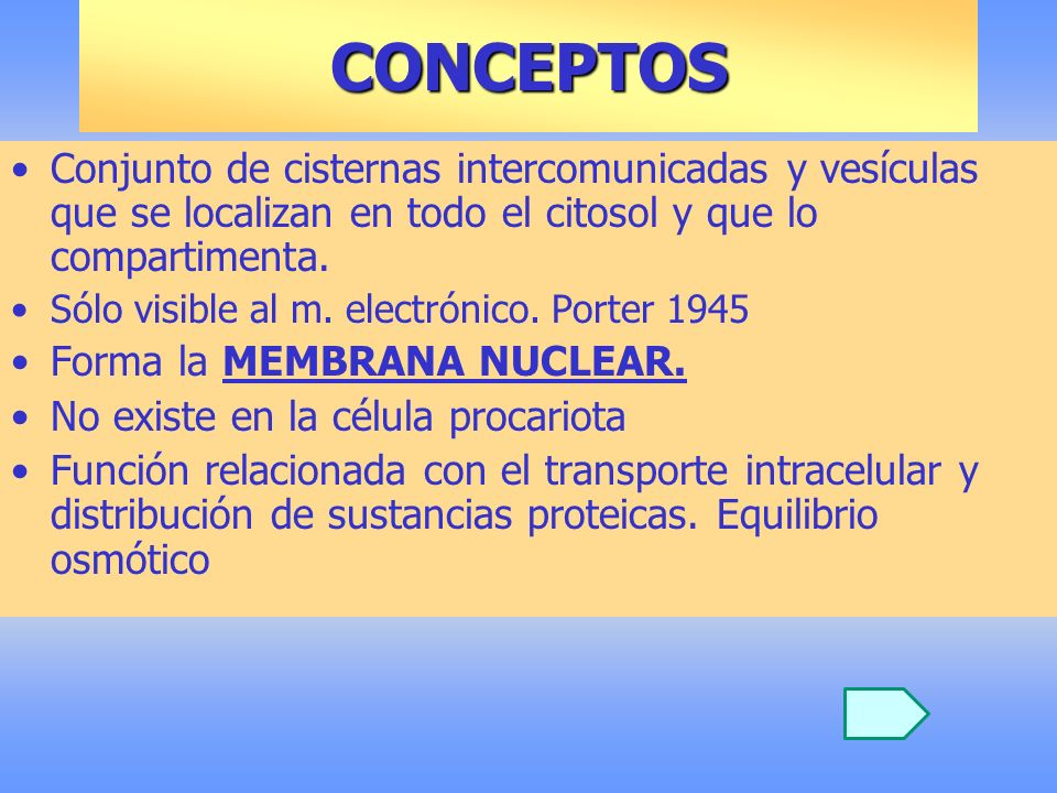 CONCEPTOS Conjunto de cisternas intercomunicadas y vesículas que se localizan en todo el citosol y que lo compartimenta.