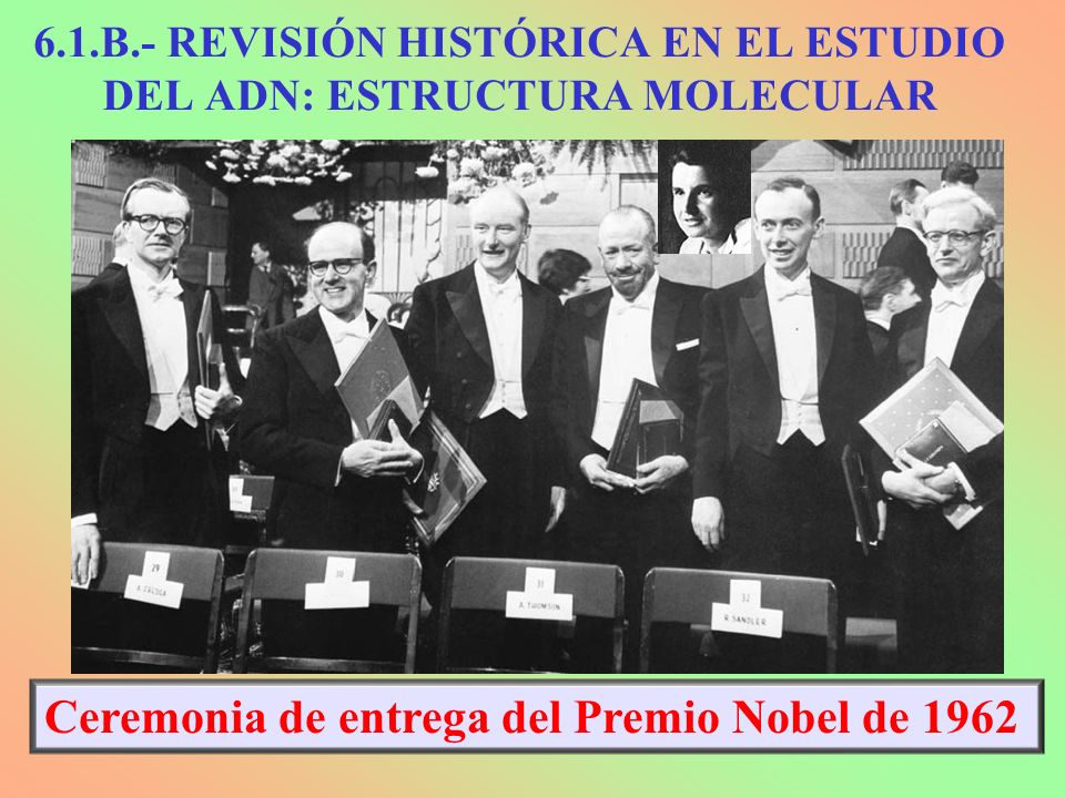 6.1.B.- REVISIÓN HISTÓRICA EN EL ESTUDIO DEL ADN: ESTRUCTURA MOLECULAR