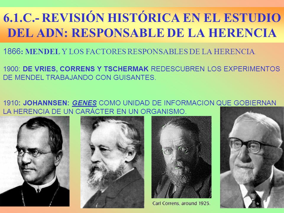 6.1.C.- REVISIÓN HISTÓRICA EN EL ESTUDIO DEL ADN: RESPONSABLE DE LA HERENCIA