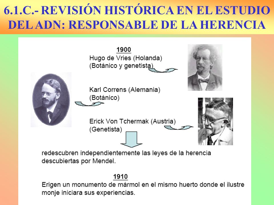 6.1.C.- REVISIÓN HISTÓRICA EN EL ESTUDIO DEL ADN: RESPONSABLE DE LA HERENCIA