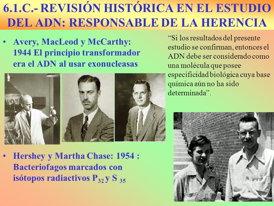 6.1.C.- REVISIÓN HISTÓRICA EN EL ESTUDIO DEL ADN: RESPONSABLE DE LA HERENCIA