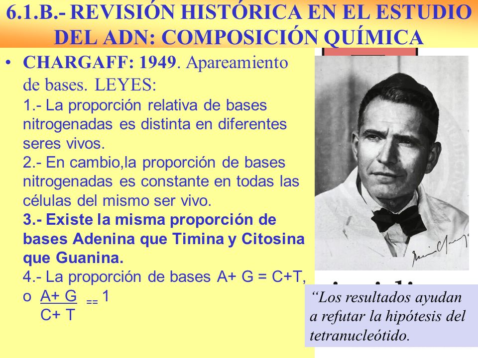 6.1.B.- REVISIÓN HISTÓRICA EN EL ESTUDIO DEL ADN: COMPOSICIÓN QUÍMICA