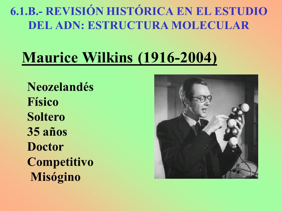 6.1.B.- REVISIÓN HISTÓRICA EN EL ESTUDIO DEL ADN: ESTRUCTURA MOLECULAR