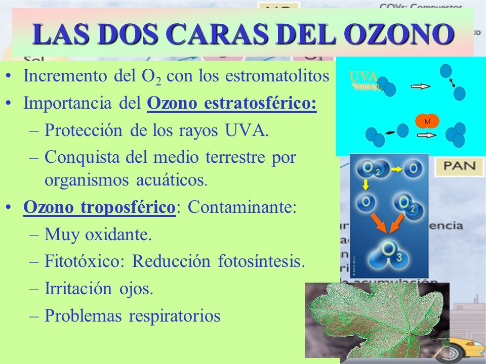 LAS DOS CARAS DEL OZONO Incremento del O2 con los estromatolitos