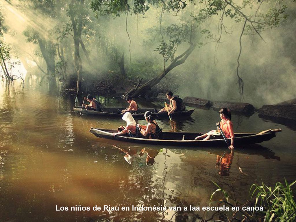 Los niños de Riau en Indonésie van a laa escuela en canoa