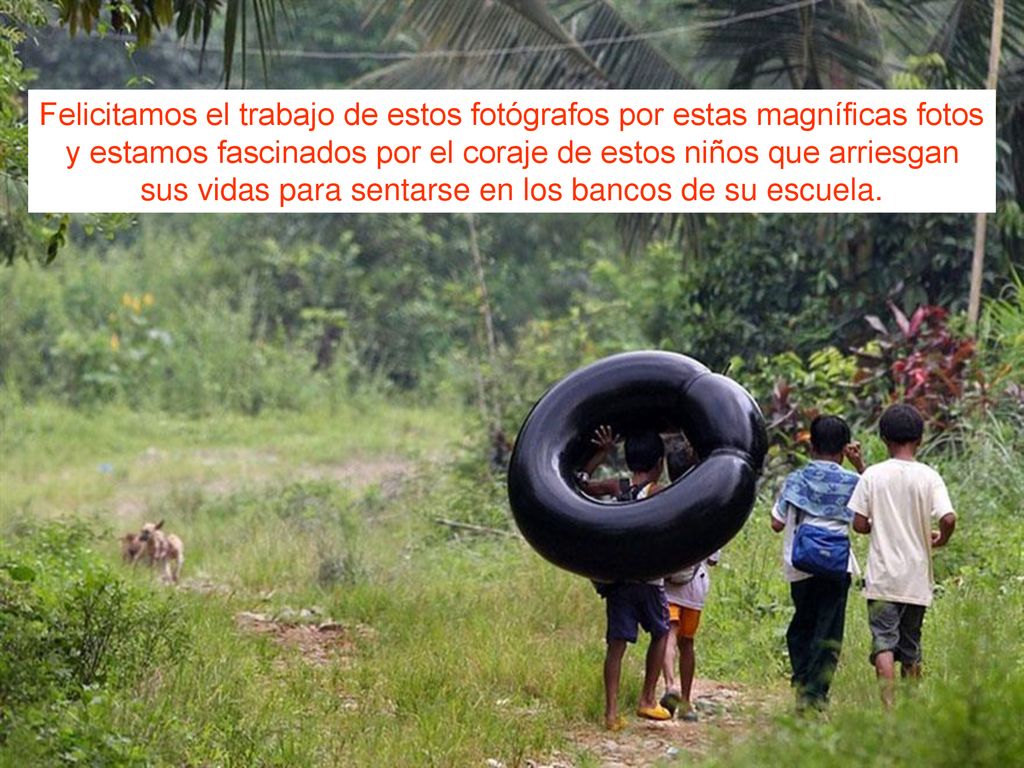 Felicitamos el trabajo de estos fotógrafos por estas magníficas fotos y estamos fascinados por el coraje de estos niños que arriesgan sus vidas para sentarse en los bancos de su escuela.